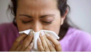 parlagfű-allergia kezelése